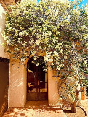 Exterior detail - Palais Bouchka (Essaouira)