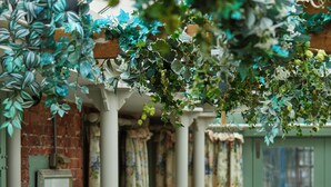 A restaurant with teal sofas, wooden tables, and hanging greenery. - The Bull on Bell Street (Henley-on-Thames)