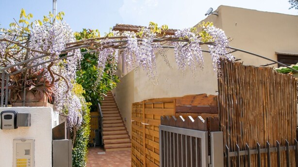 Ein Wohngebiet mit Holztor, Treppe und einem Klettergerüst, das mit Wisteria bewachsen ist.