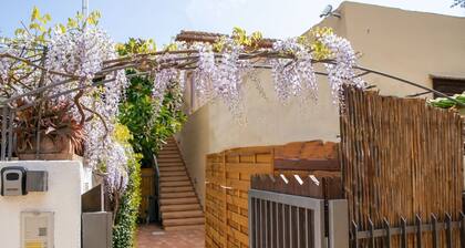 Le Cicale C Apartment