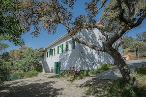 A white building with green shutters, a staircase, and a tree in front.