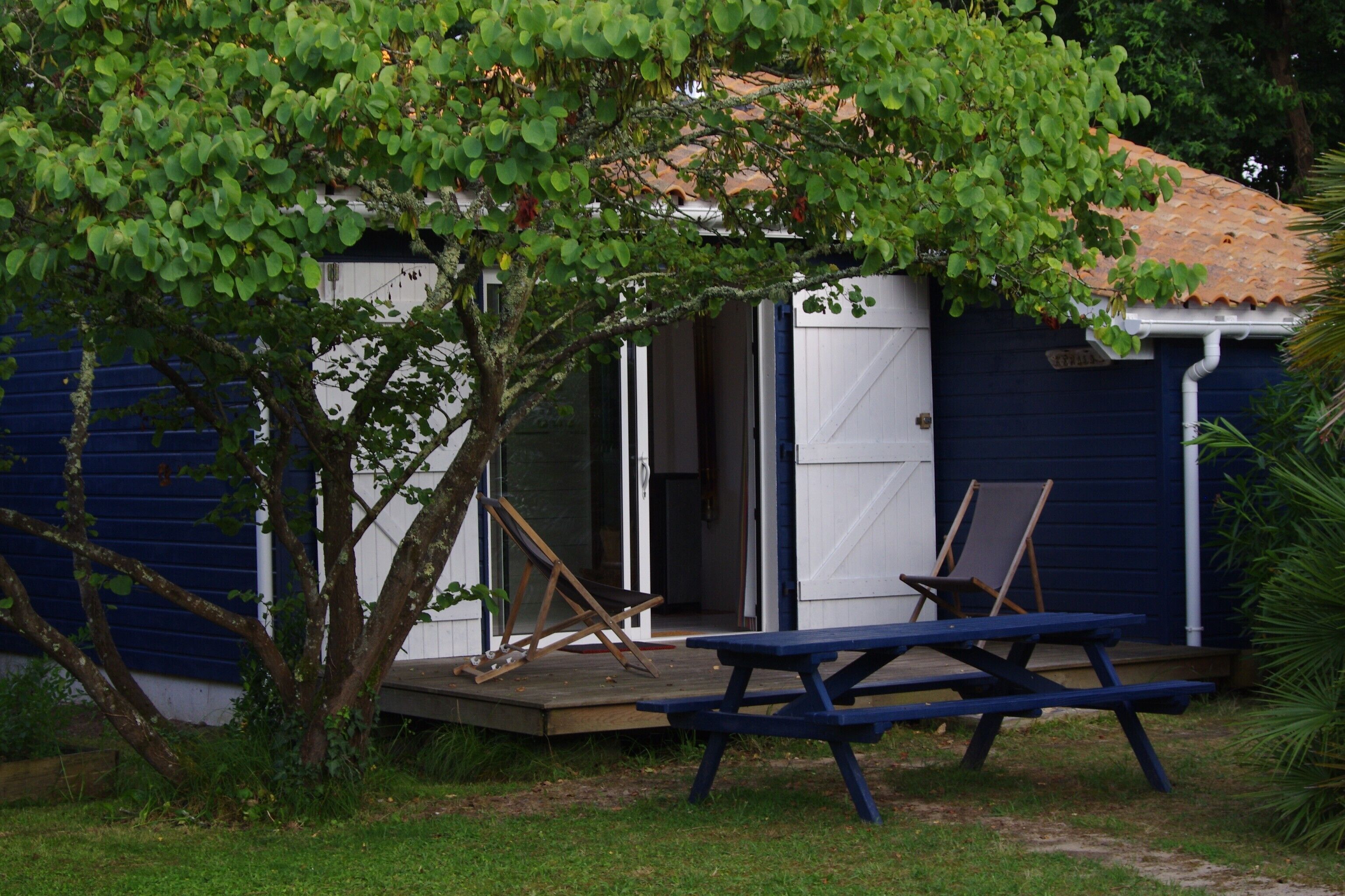 Restauration en plein air