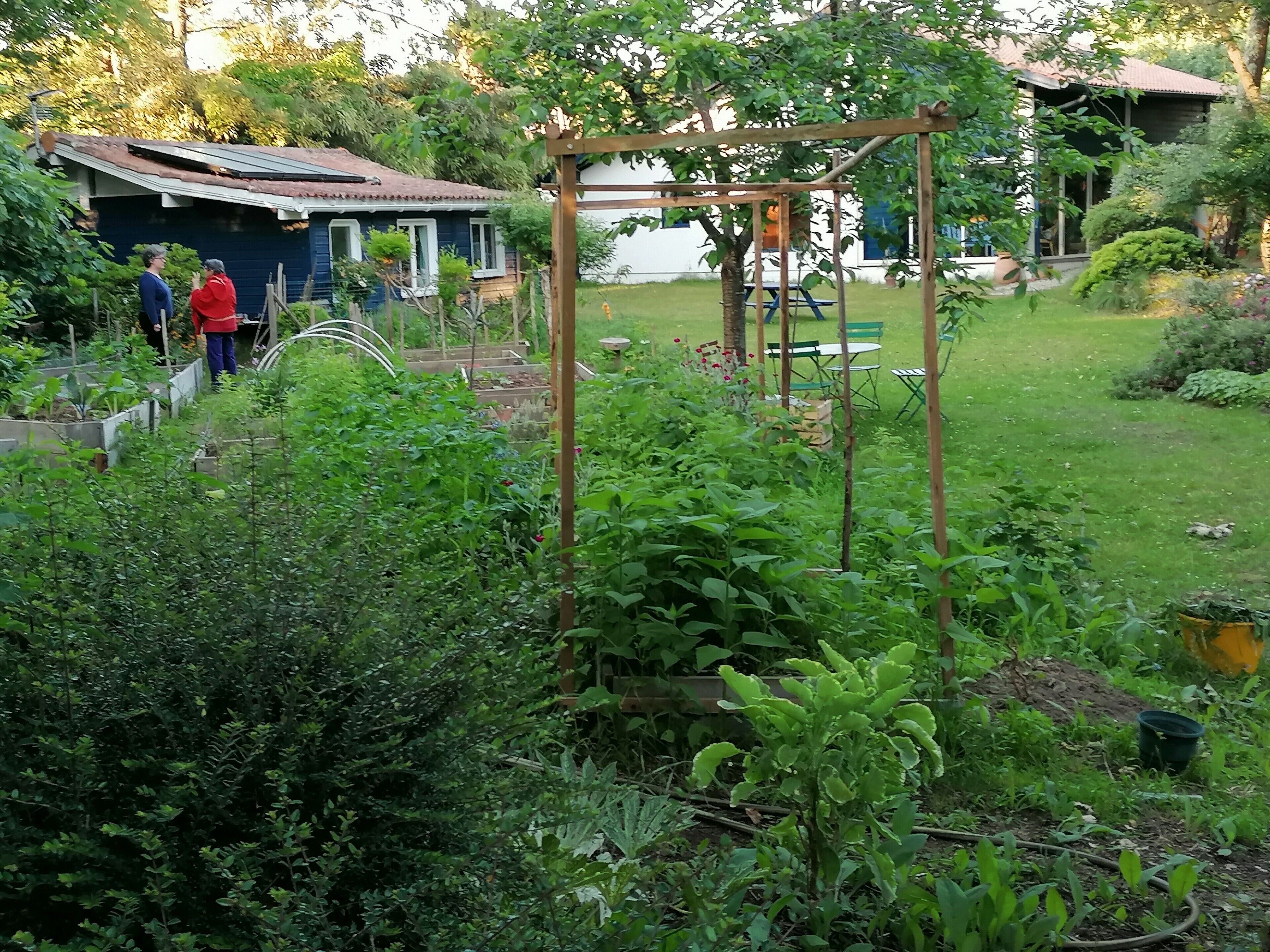 A garden with a wooden pergola, a small shed, and a grassy area with plants.