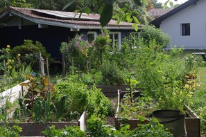 A garden with raised beds, a wooden fence, and a house with a tiled roof. - Guest Room “Villa Ananda - Kermessu Annex” (Capbreton)