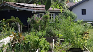 Ein Garten mit erhöhten Beeten, einem Holzzaun und einem Haus mit Ziegeldach.