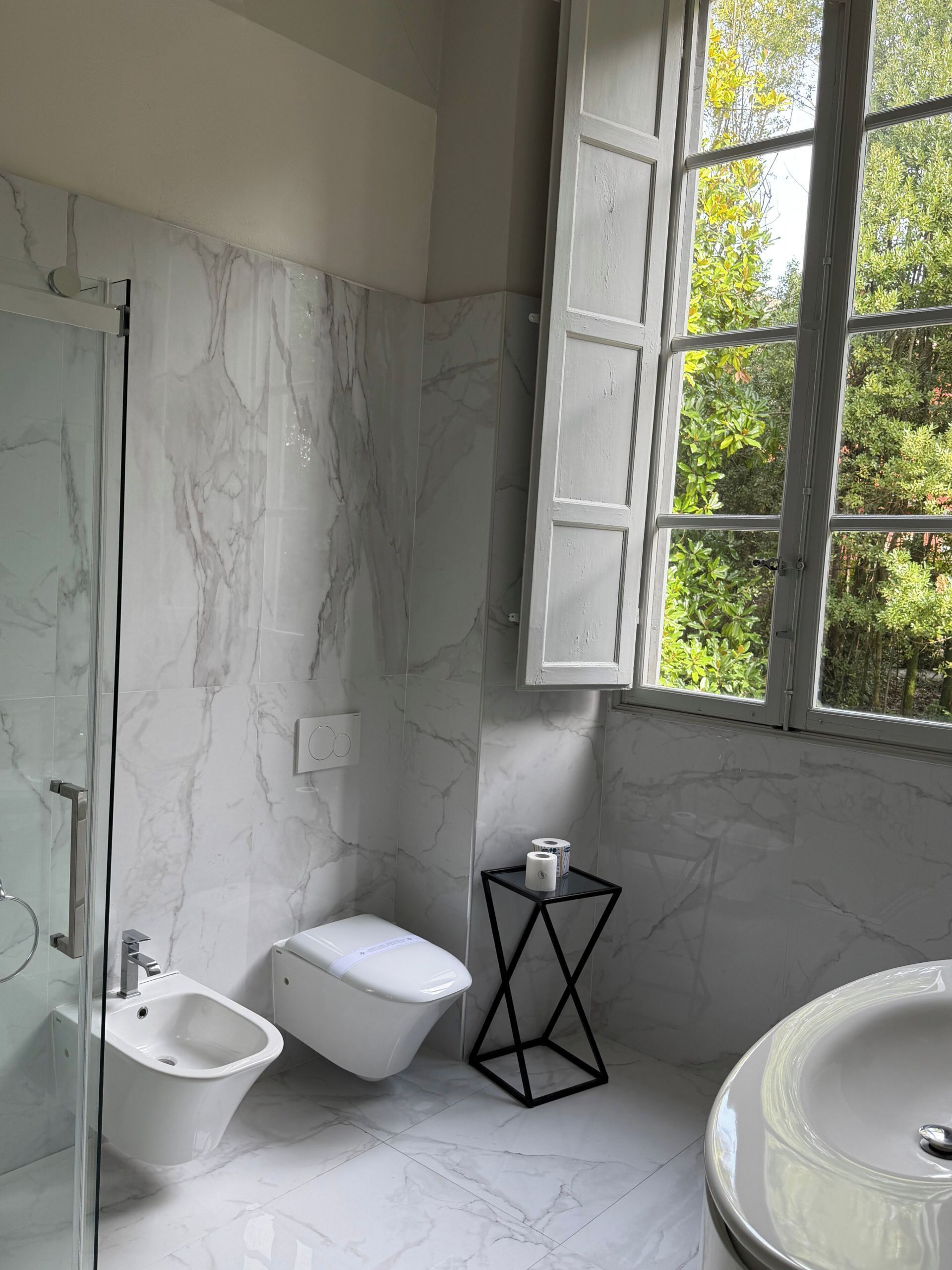 Shower, hair dryer, bidet, towels