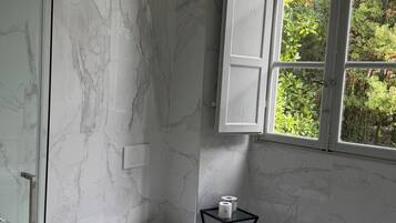 Shower, hair dryer, bidet, towels