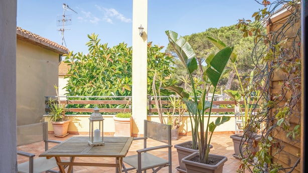 Eine Terrassenausstattung im Freien mit Tisch und Stühlen, umgeben von Topfpflanzen und einem Holzzaun.