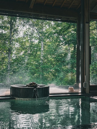 Hot springs. Onsen Lodge Watari