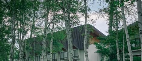 A modern building with a sloped roof surrounded by dense greenery and tall trees.
