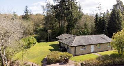 The Allensford (Pet), Hexham