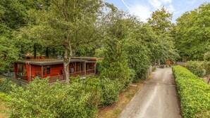 Un bâtiment de style cabane doté d’un porche, entouré d’une végétation luxuriante et d’arbres.