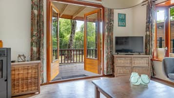 TV connectée, cheminée