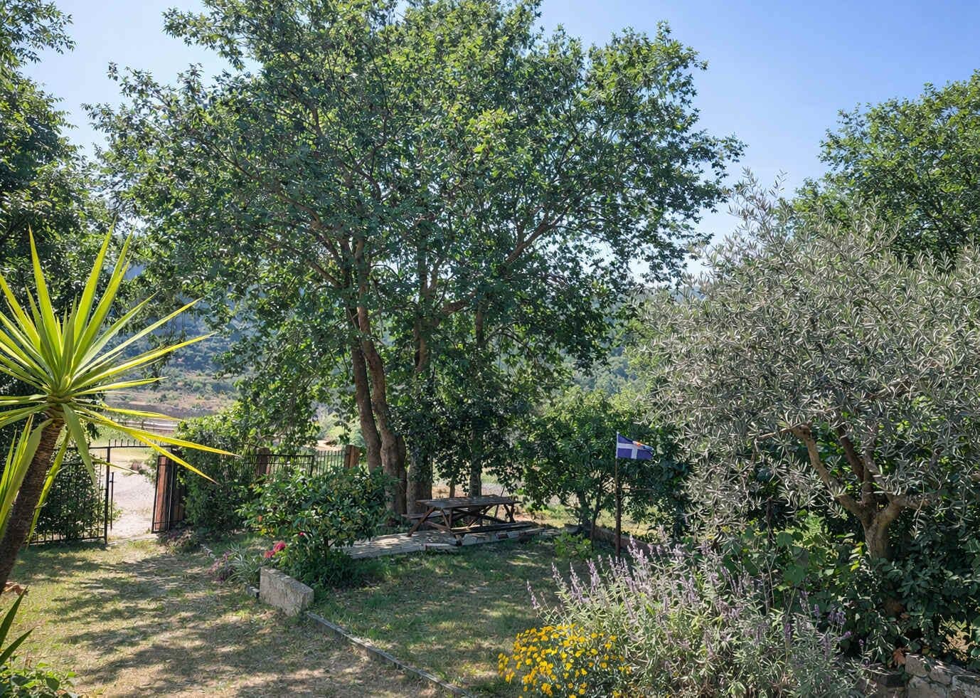 House | 1 bedroom, Internet