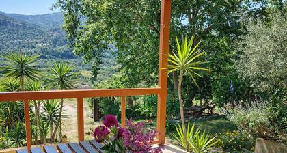 Sunshine Home - Peaceful Garden Escape Parking