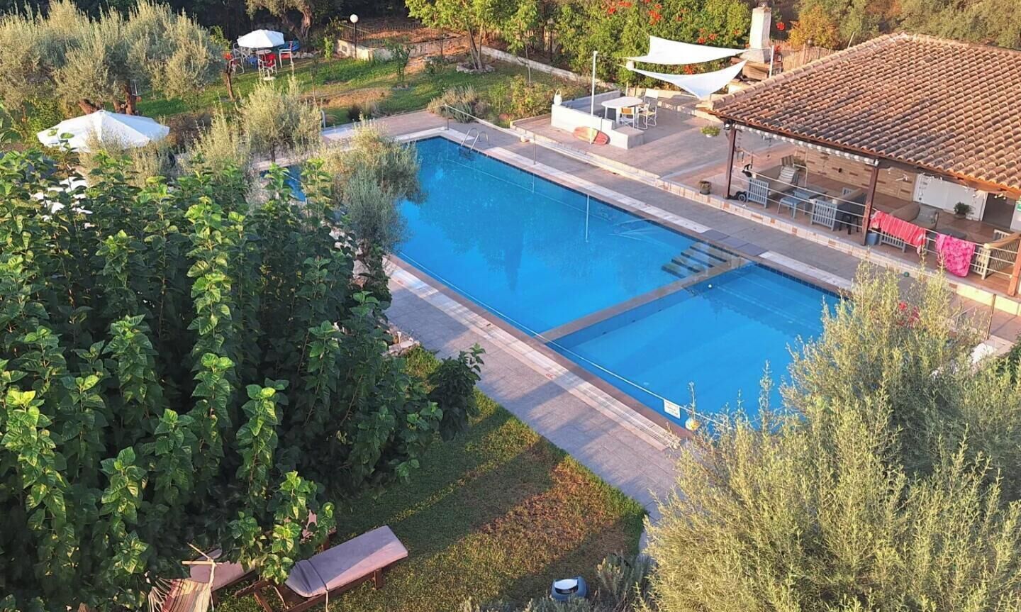 Ein rechteckiger Pool mit gefliestem Deck, umgeben von üppiger Vegetation und einer überdachten Terrasse.