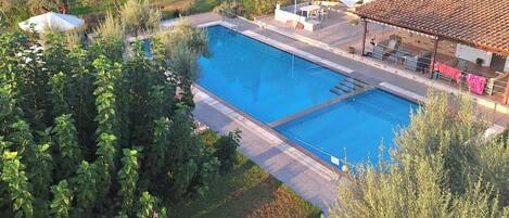 Ein rechteckiger Pool mit gefliestem Deck, umgeben von üppiger Vegetation und einer überdachten Terrasse.
