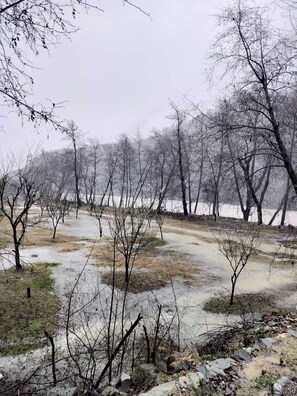 Property grounds - The Soul Stop by evaddo (Aut)