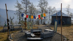 Un espace extérieur rustique aménagé avec des bancs et une table, entouré d’un chemin de gravier et d’une clôture en bois.