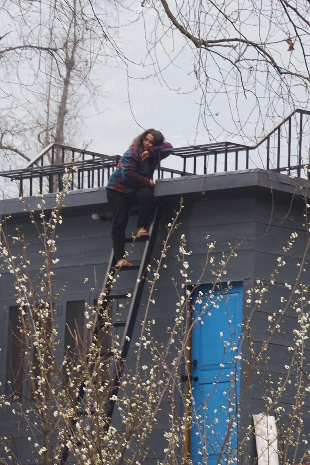 Comfort Cabin, Balcony | Exterior