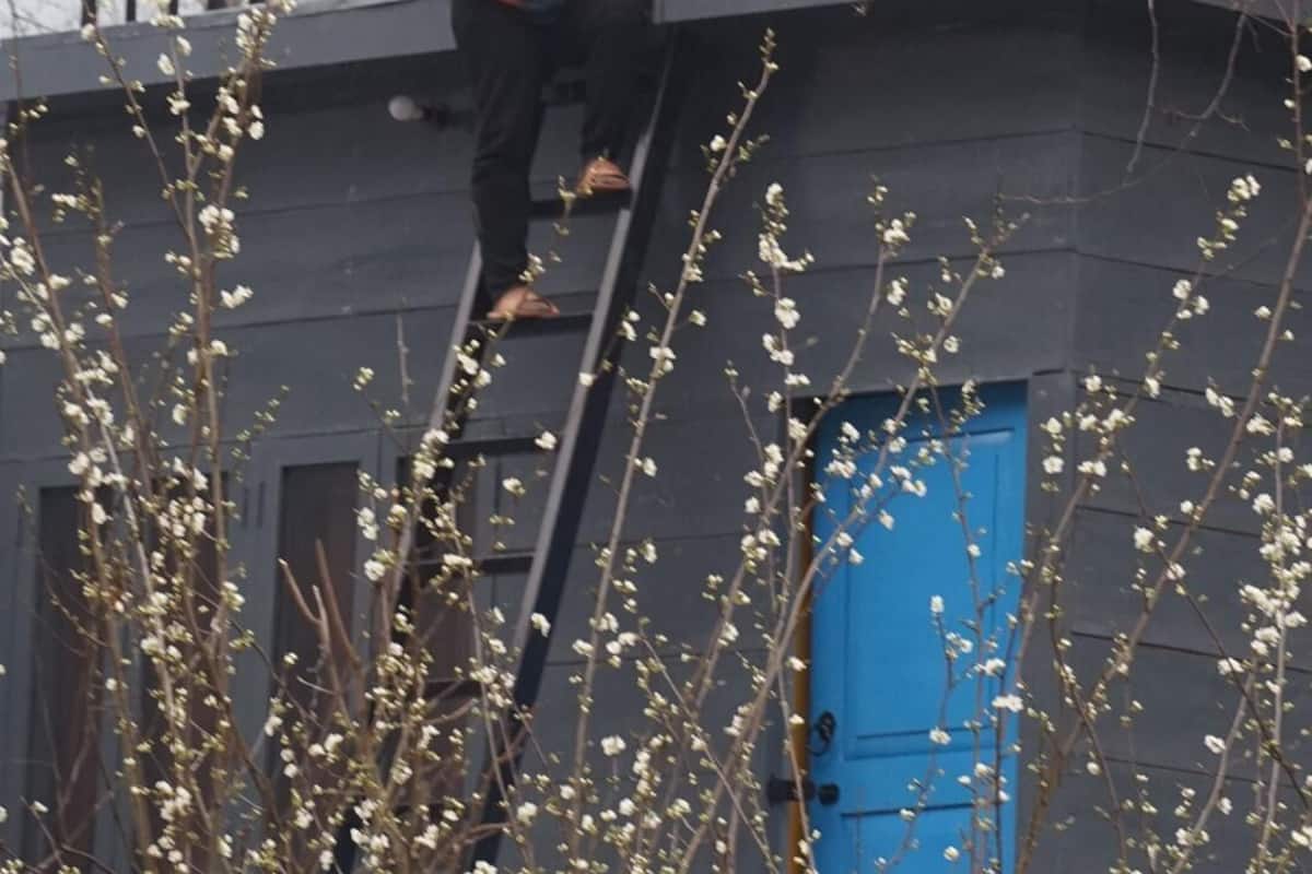 Comfort Cabin, Balcony | Exterior