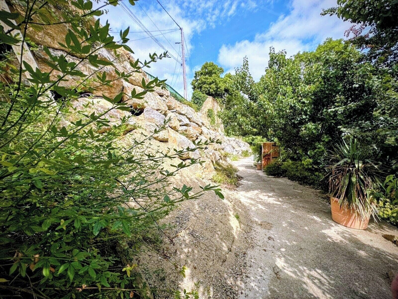 A narrow, rocky path flanked by dense greenery and a wooden structure.