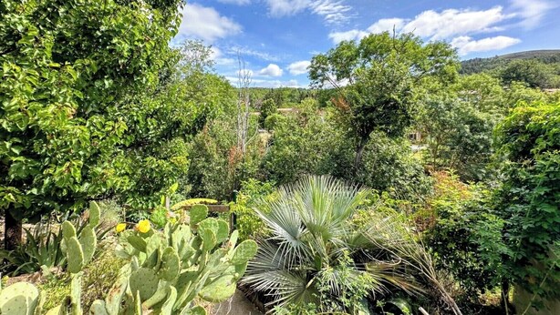 A lush garden with various plants and trees, including a prominent cactus and a palm-like plant. - Gîte La Bastide Saint-Roc Haute Vallée de l'Aude (Antugnac)