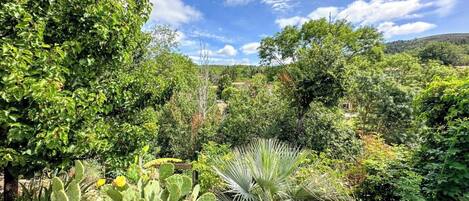 Jardines del alojamiento