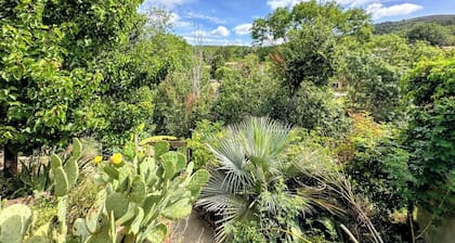 GĂźte La Bastide Saint-Roc Haute VallĂ©e de lâAude