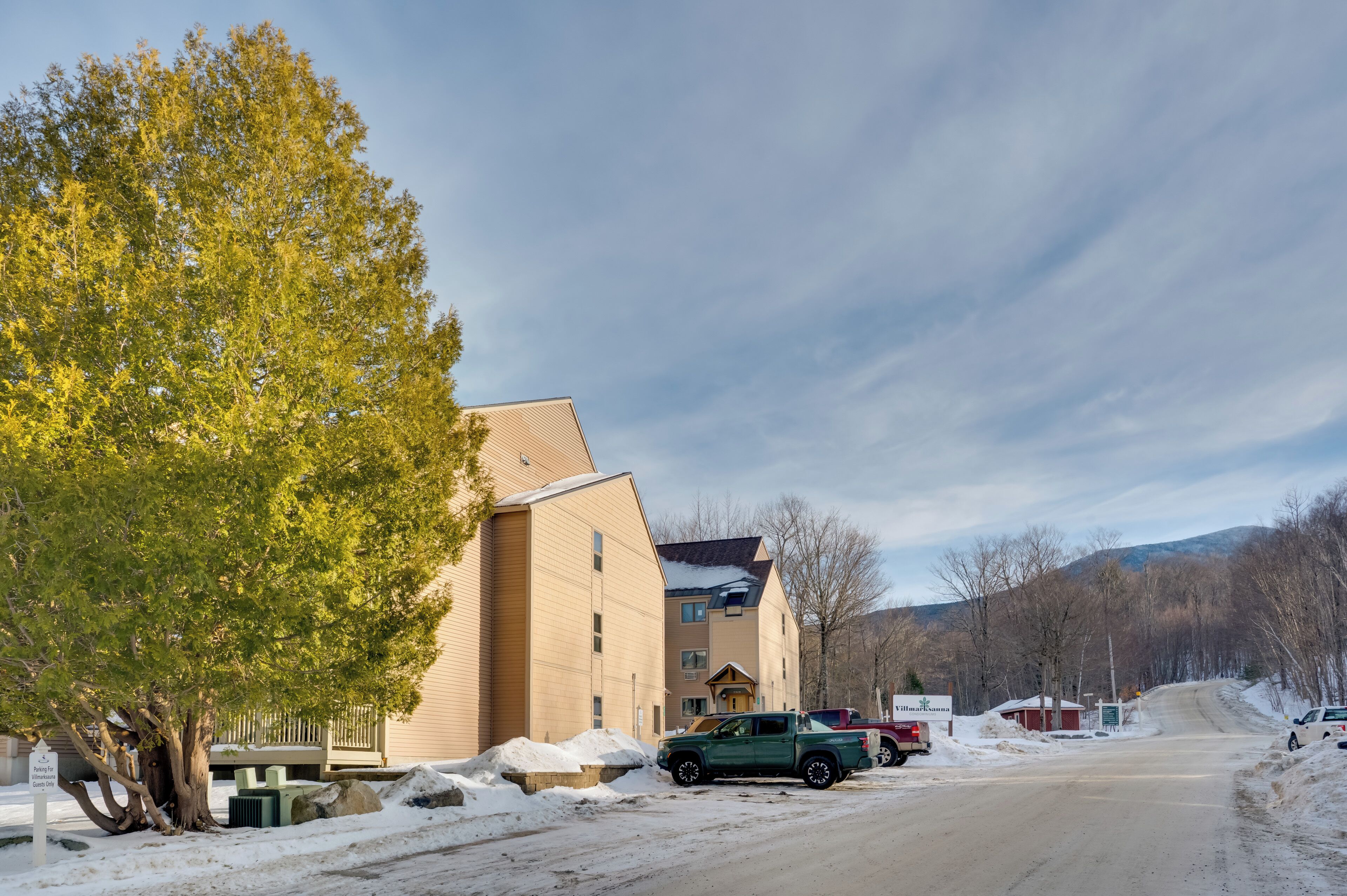 A building with a large tree in front, a dirt road, and a snow-covered ground.