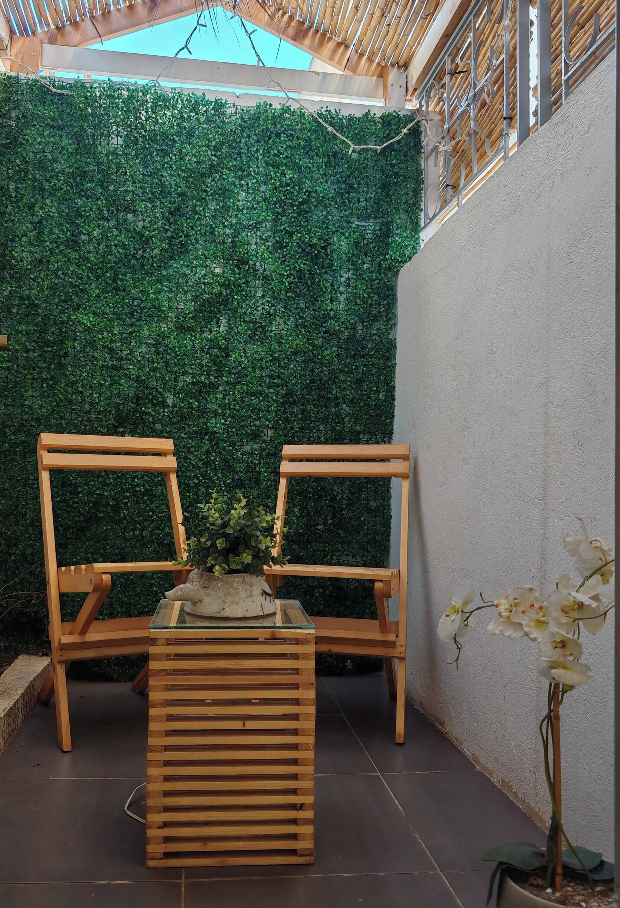 Eine Holzbank mit einem Blumentopf in der Mitte, eine grüne Wand und eine weiße Wand mit einem Orchideen-Topf.