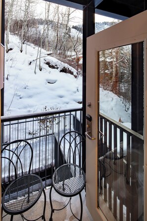 Property grounds - Fifth Avenue Unit 201 | 3BR Luxury Condo with Mountain Views, Walking Distance to Downtown Aspen (Aspen)