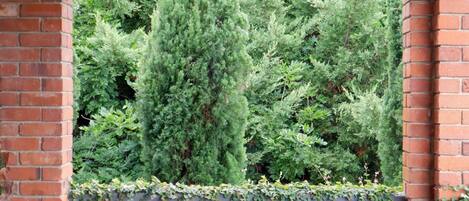 Lejlighed | Reception