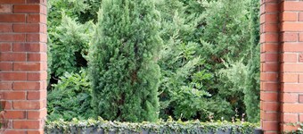 Towncottage Tenterfield Stay With Scenic Views