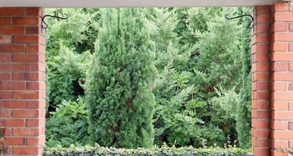 Towncottage Tenterfield Stay With Scenic Views