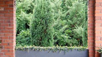 Apartment | Reception