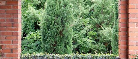 Appartement | Réception