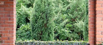 Towncottage Tenterfield Stay With Scenic Views