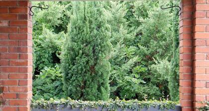 Towncottage Tenterfield Stay With Scenic Views