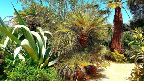 Room, 1 Bedroom, Private Pool, Pool View | Garden - Room-peaceful Private Garden Studio for (Cullar)