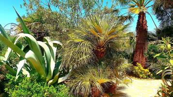 Room, 1 Bedroom, Private Pool, Pool View | Garden