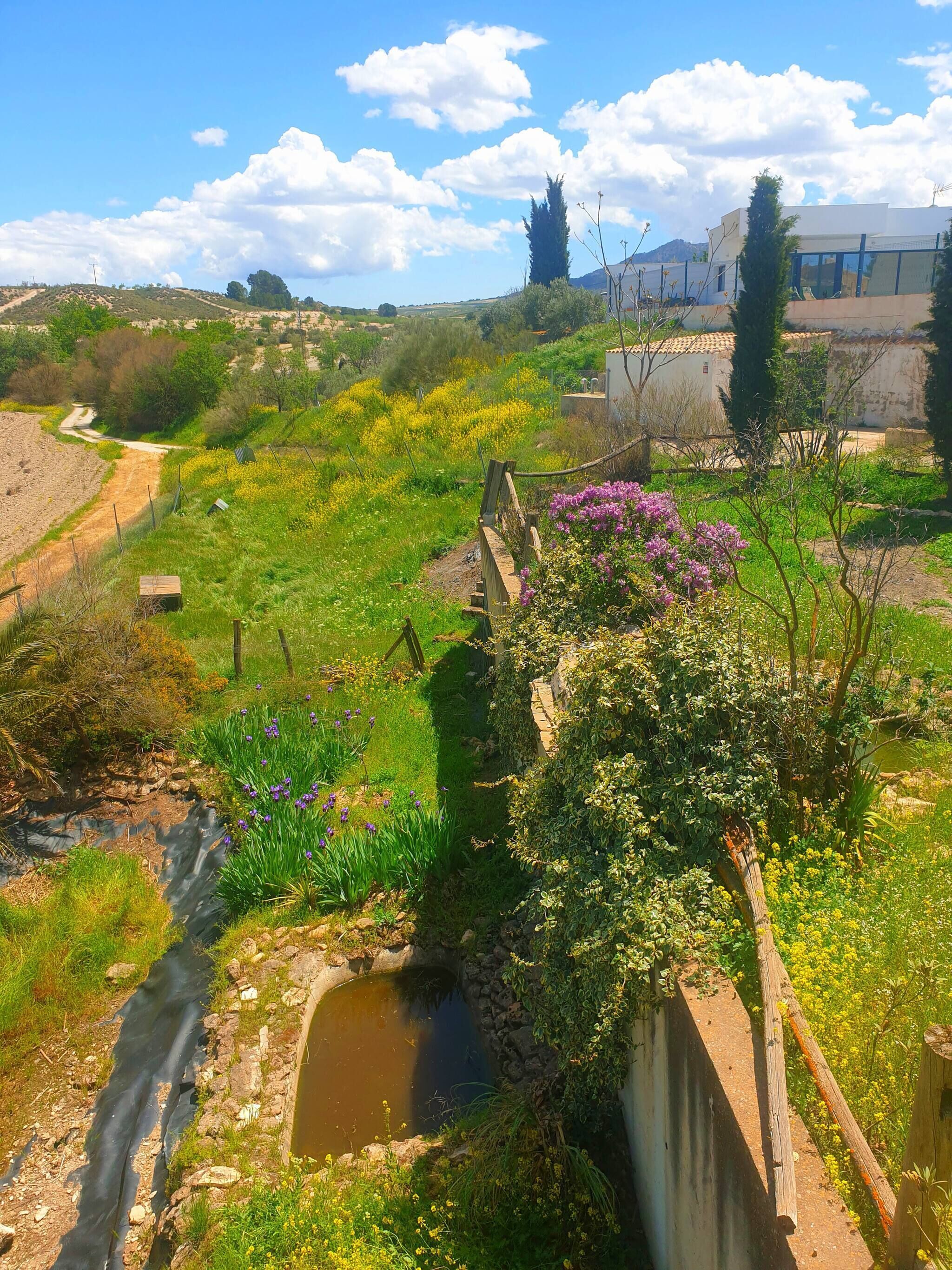 Room, 1 Bedroom, Private Pool, Pool View | Property grounds