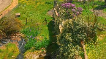 Room, 1 Bedroom, Private Pool, Pool View | Property grounds