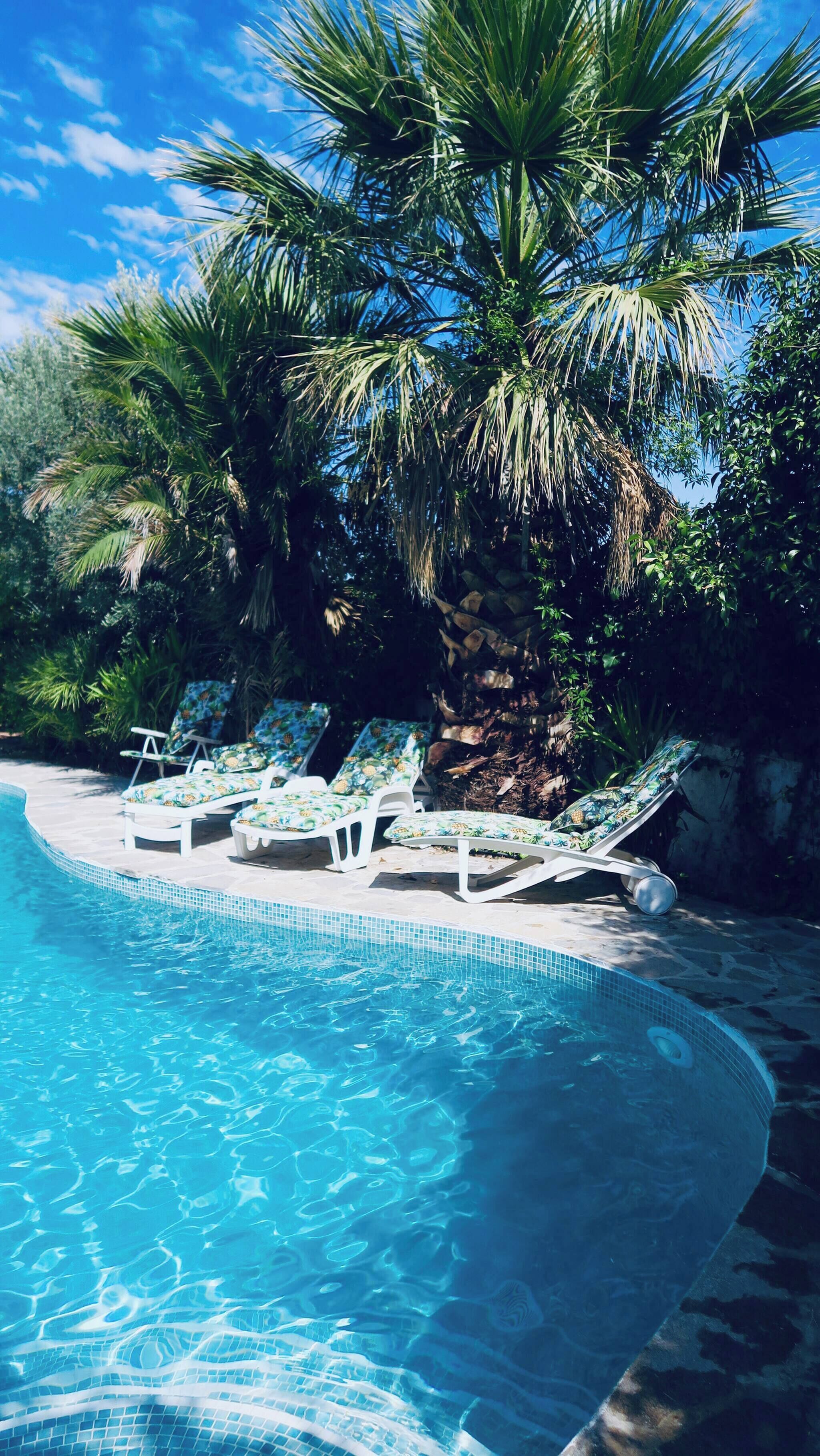 Habitación, 1 habitación, piscina privada, vistas a la piscina | Piscina | Una piscina al aire libre