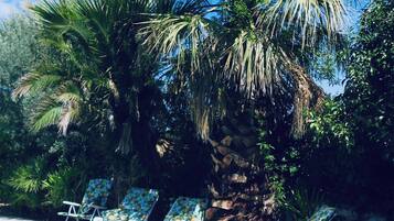 Habitación, 1 habitación, piscina privada, vistas a la piscina | Piscina | Una piscina al aire libre