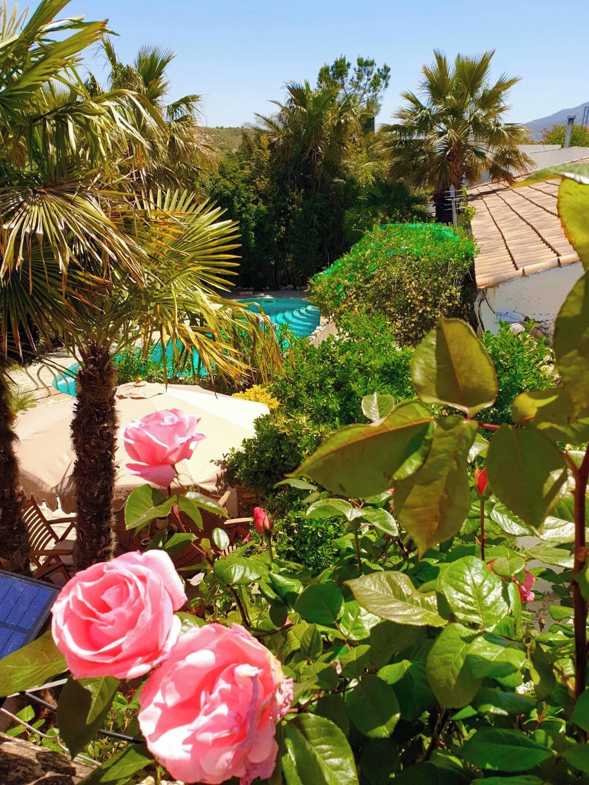 Zimmer, 1 Schlafzimmer, eigener Pool, Poolblick | Garten