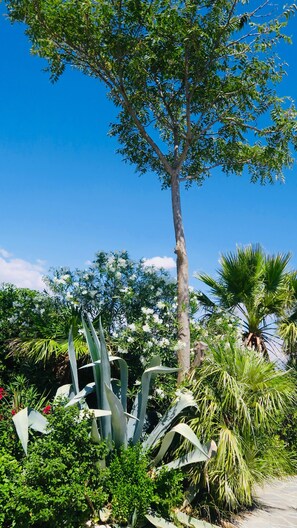 Habitació, 1 dormitori, piscina privada, vistes a la piscina | Jardí