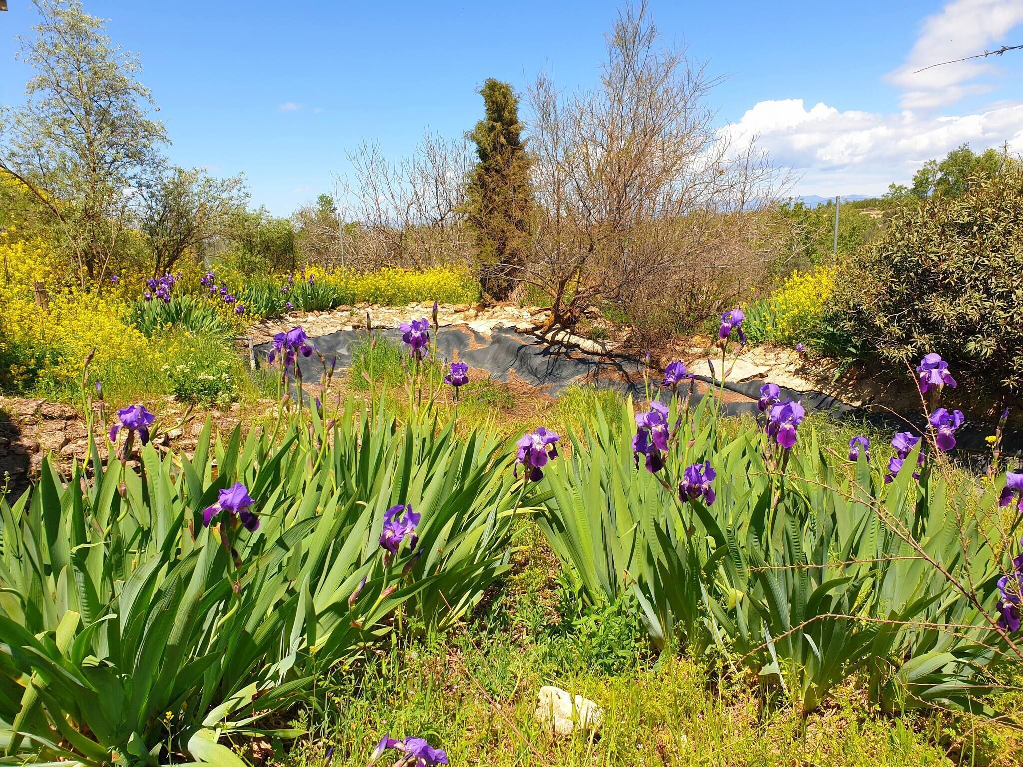 Room, 1 Bedroom, Private Pool, Pool View | Exterior