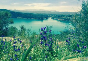 Room, 1 Bedroom, Private Pool, Pool View | Exterior - Room-peaceful Private Garden Studio for (Cullar)