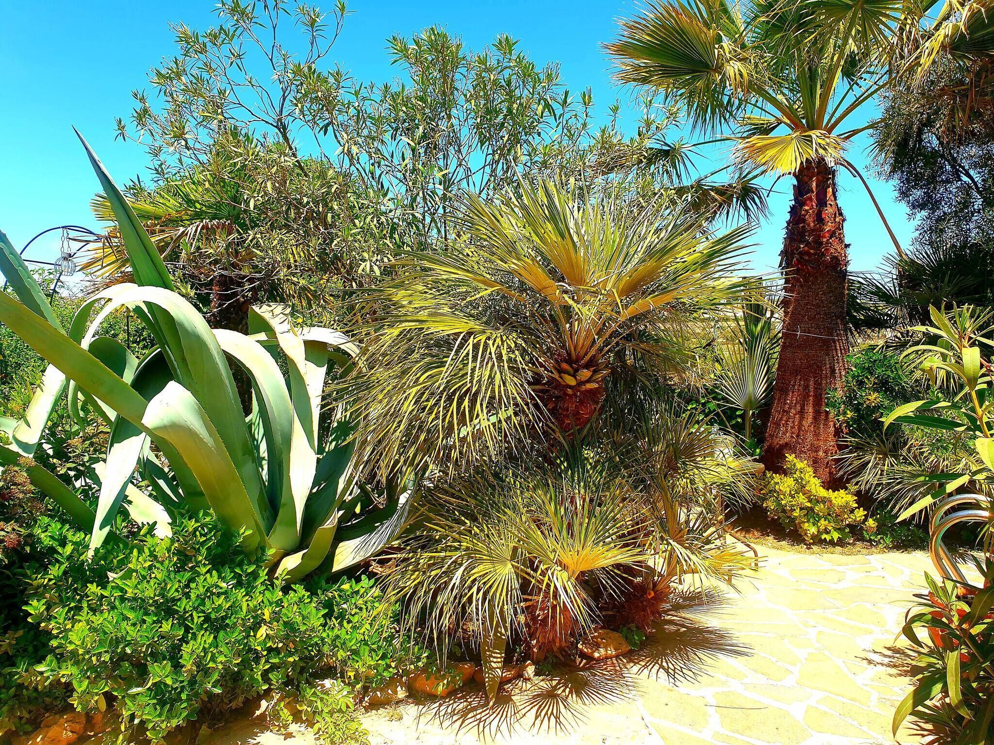 Habitación, 1 habitación, piscina privada, vistas a la piscina | Jardín